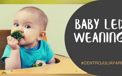 ALIMENTACIÓN COMPLEMENTARIA DEL BEBÉ Y BABY-LED WEANING